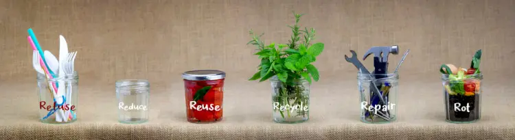 How is Organic Recycling Different from Backyard Composting?